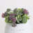 5.25" Artificial Succulent in Planter