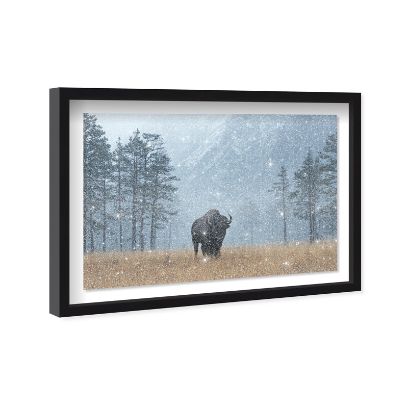 Mountain Bison II Print by Oliver Gal, 11.5" H x 16.5" W, Black Shadowbox