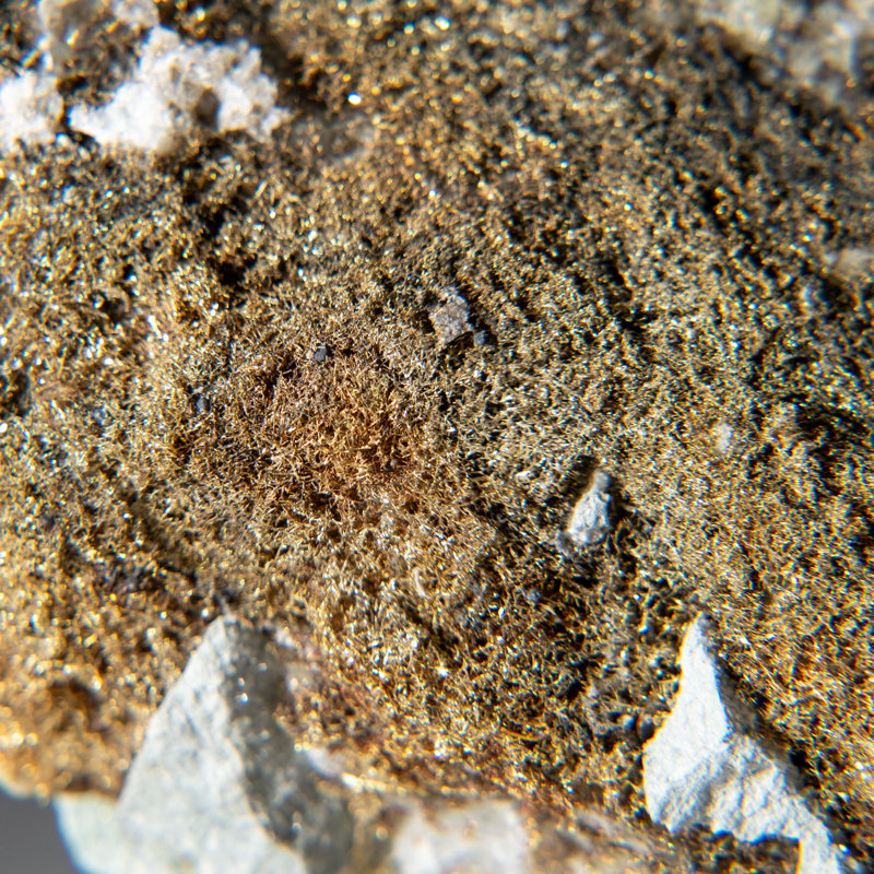 Sponge Gold de la mine Olinghouse, banc 6030, fosse 813, Washoe County, Nevada
