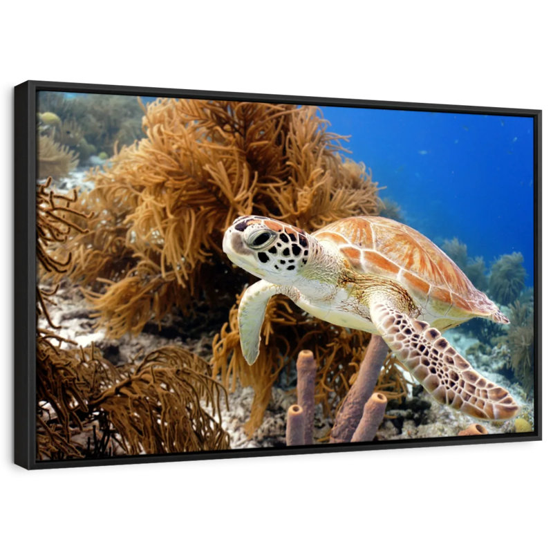 Turtle Reef Canvas Print, 13" H x 19" W