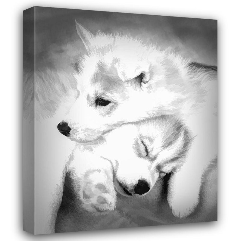 Art sur toile tendue Lark Manor ™ Jaynes Gallery, abstrait: Chiots Husky de Sibérie, H 44 po x l 36 po