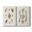 Coquillages Knorr et corail - Toile tendue avec châssis de qualité supérieure - Prêt à accrocher-108966475