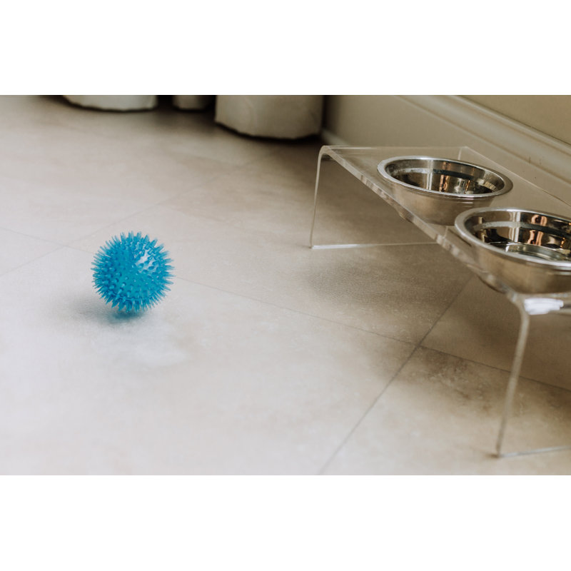 Protecteur de plancher pour animaux en céramique, Transparent