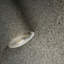 Rouleau de papier peint Lanham Big Chip Mica