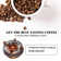 20 Bar Automatic Espresso Machine with Built-In Grinder, Office Coffee Machine with Lcd Touch Control Panel and Double Boiler System, Auto-Cleaning Quiet Coffee Maker for Beginners