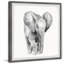 «Knepp Lonely Elephant», reproduction encadrée-1821842337