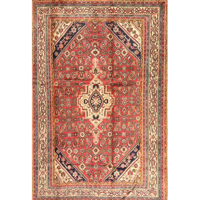Oriental Indoor Rug