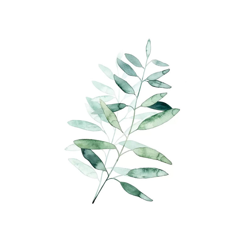 Serene Reed II by Grace Popp - Wrapped Canvas Panoramic Gallery-Wrapped Canvas Giclée, 20.32 cm H x 30.48 cm W