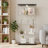 Dedorah Glass Display Cabinet, Curio Storage Cabinet with Door and LED Light-676102019