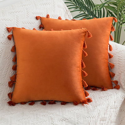 Velvet With Tassle Tassels Velvet Reversible Throw Pillow