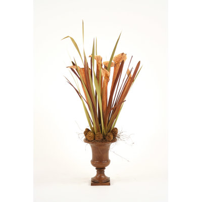 Pichet avec plantes et herbes
