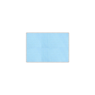 Summer Cooling Pet Pad 15.7x11.8in Non-Slide Portable Washable Ice Mat For Dogs Cats, Blue