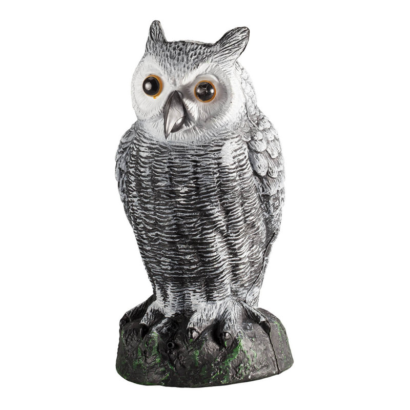 Capteur hibou