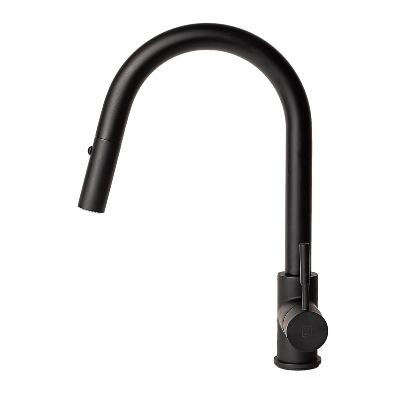Arthur Single Handle Kitchen Faucet with Side Spray and Accessories, Matte Black