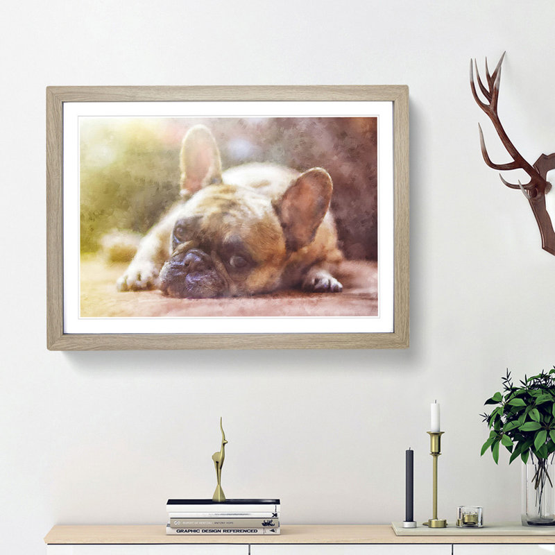 Fawn French Bulldog Dog - Framed Print, 24cm H x 33cm W x 2cm D, Oak Framed