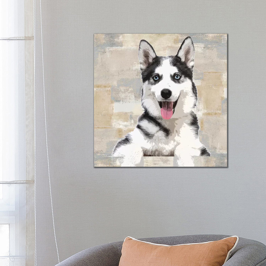 Siberian Husky