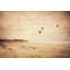 Go Where You've Never Been by Sylvia Cook - Wrapped Canvas Print-1058034523