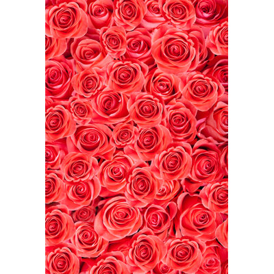 Red Roses Background - Wrapped Canvas Print