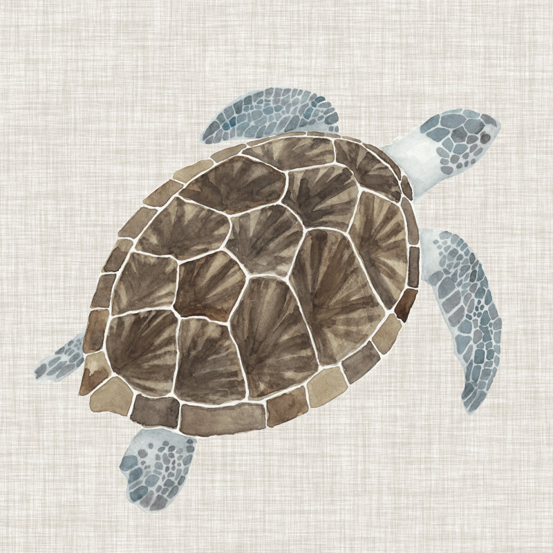 Sea Turtle I by Naomi McCavitt - Wrapped Canvas Painting, 30cm H x 30cm W x 3.8cm D