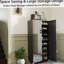 Armoire à chaussures avec 4 portes miroir, armoire de rangement avec tablettes réglables, trous de ventilation