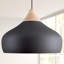 Nataly 1 - Light Dome Pendant-33681009