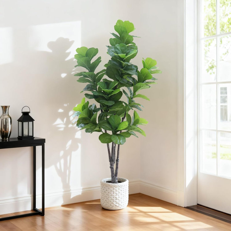 84cm Plant