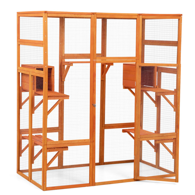 5 perchoirs, 2 condos pour chat en orange dynamique - Porte verrouillable pour garder les animaux de compagnie actifs grand abri énergique