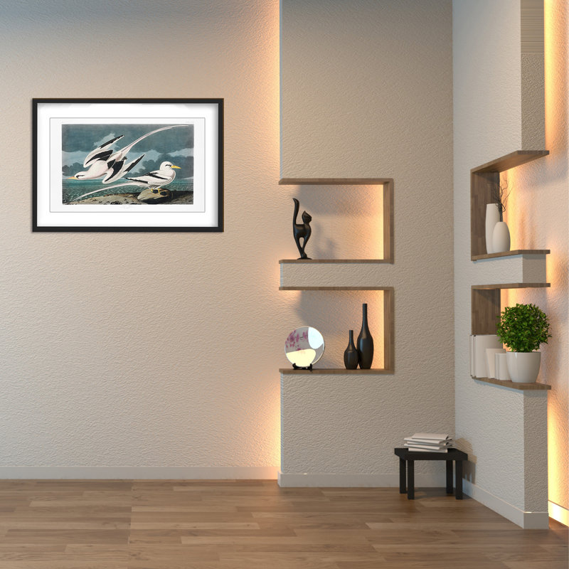 Nature Inspired Tropic Bird From Birds Of America (1827), 24" H x 30" W