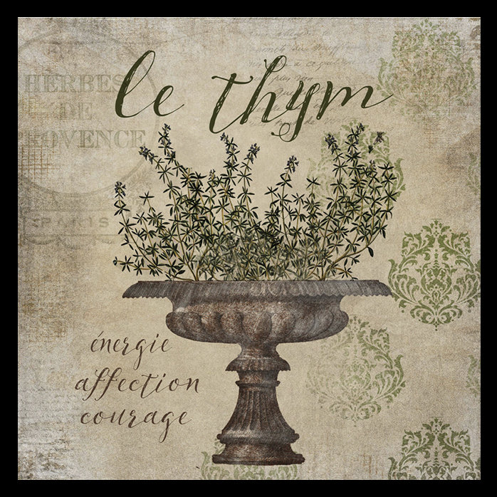 «French Herbs Thyme», impression sur papier, H 26,5 po x l 26,5 po x P 1po, Papier avec cadre noir