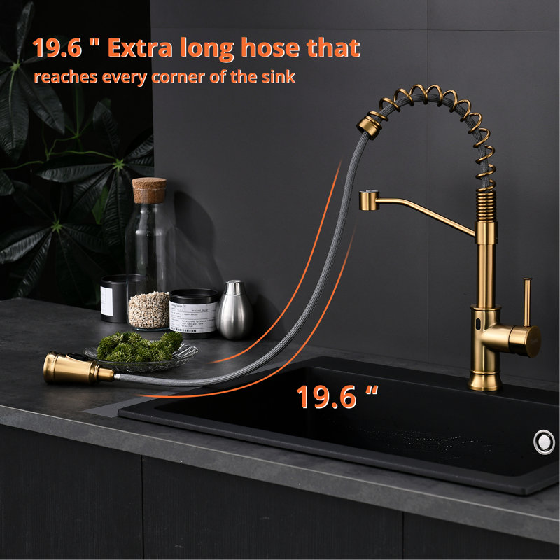 Robinet de cuisine Touchless