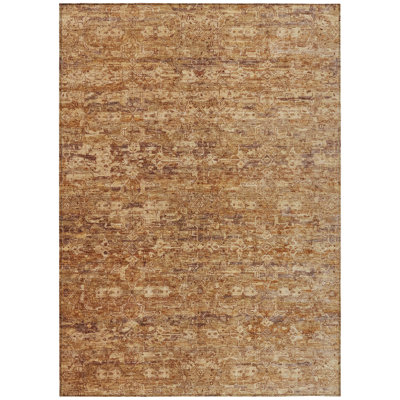 Machine Washable Indoor/Outdoor Chantille ACN2324 Ikat Rug