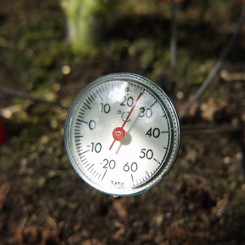 ClearAmbient Thermometer Shoshana 