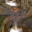 Cascading Rock and Tree Trunk Fountain with LED Lights