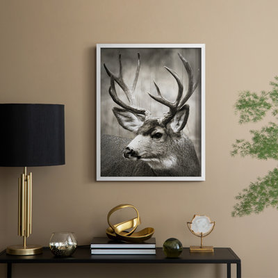 Focused Buck Framed Print - Solid Wood