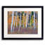 Colorado Autumn Aspen Grove Print by Bruce Heinemann-65802917-65802920