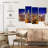 Nicci North Carolina Bright Lights-108895460