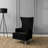 Bree 73.914Cm Wide Velvet Wingback Chair-1599440395