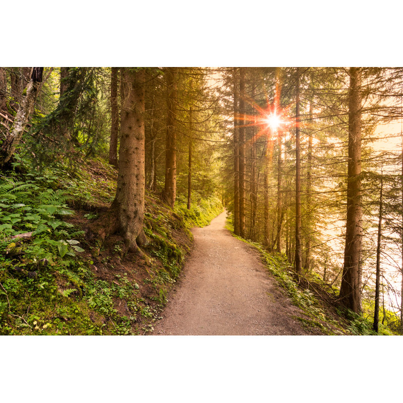 Walking Path In Forest by DaLiu - Wrapped Canvas Print, 20cm H x 30cm W x 3.8cm D