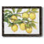 «Ripe For Picks II», peinture sur toile encadrée-872248531-872248524