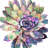Multicolored Succulent - Framed Matted Botanical Print Decor