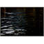 Moonlight 1 Print by Barbara DeBord-1358917722