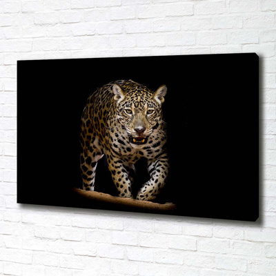 Jaguar - No Frame Print on Canvas