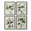 «Forest Foliage on Linen I», reproduction encadrée - ensemble de 4-329362033-329362032