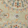 Conlan Traditional Medallion Durable Performance Indoor / Outdoor Area Rug
