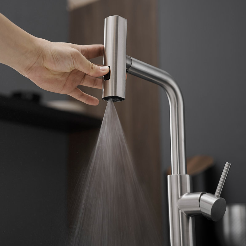 Robinet de cuisine extractible en acier inoxydable 304, Nickel brossé