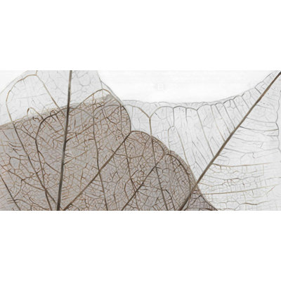 Translucent dried leaves - 15.75"x31.50" Desk mat