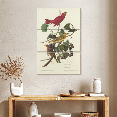 Oiseau rouge Brampt