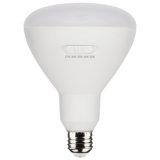 13 Watt White LED Bulb
