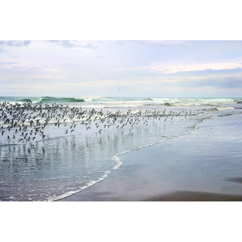 « sea oiseaux » par sylvia cook, reproduction d’art sur toile tendue, H 40 po x l 60 po x P 1,5 po