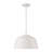 Caraquet 1-Light Metal Dome Single Pendant
